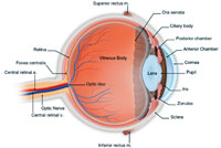 G02 eyeexam